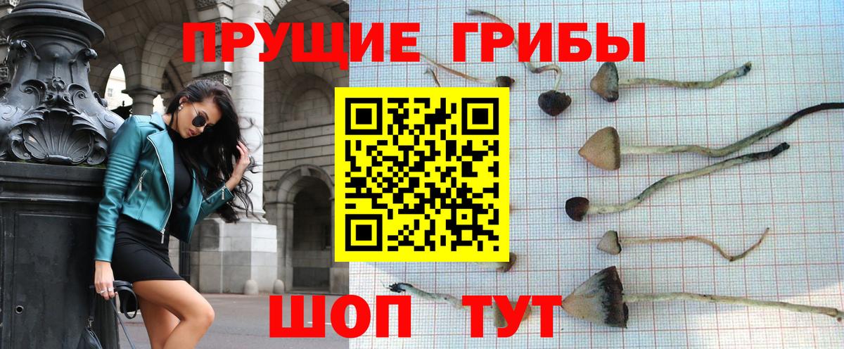 Урай  Псилоцибиновые грибы GOLDEN TEACHER  Вход с VPN 
